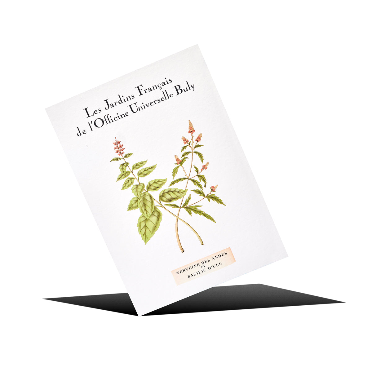 カルト・ポスタル・パルフュメ ヴェルヴェーヌ・デザンド・エ・バジリック・ドゥリュの香り