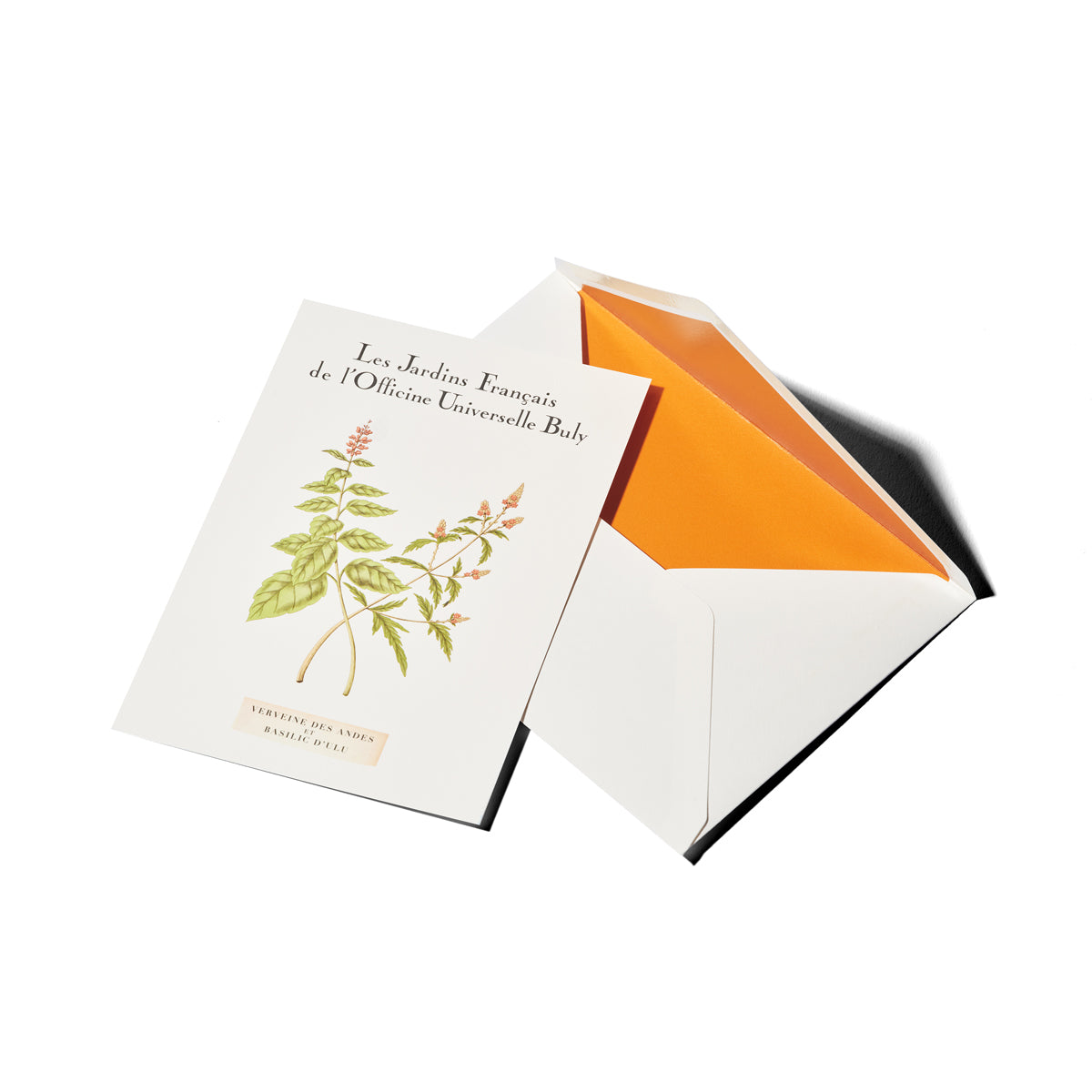 カルト・ポスタル・パルフュメ ヴェルヴェーヌ・デザンド・エ・バジリック・ドゥリュの香り