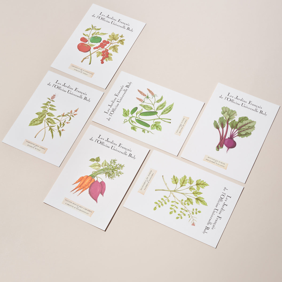 カルト・ポスタル・パルフュメ ヴェルヴェーヌ・デザンド・エ・バジリック・ドゥリュの香り