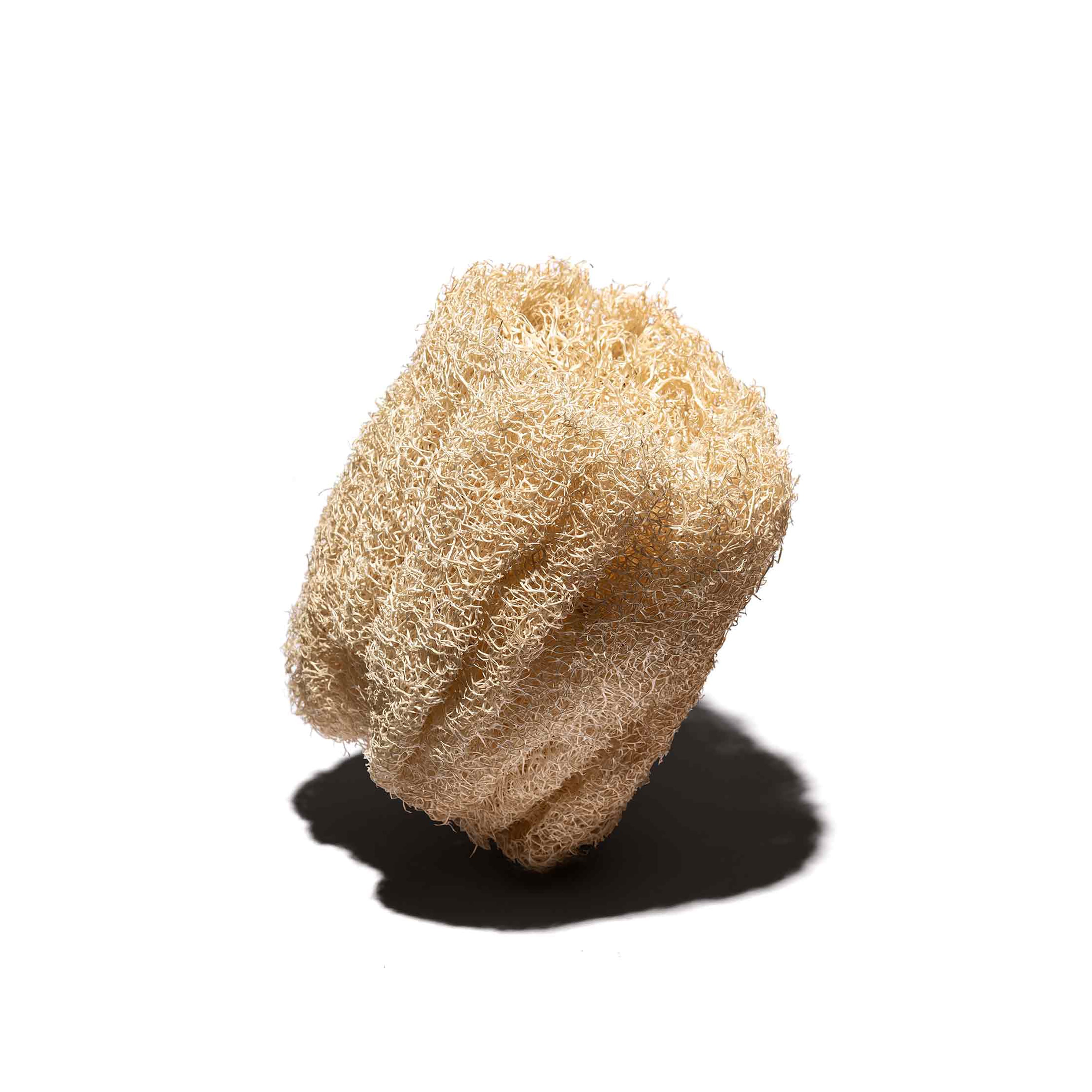 ヘチマスポンジ