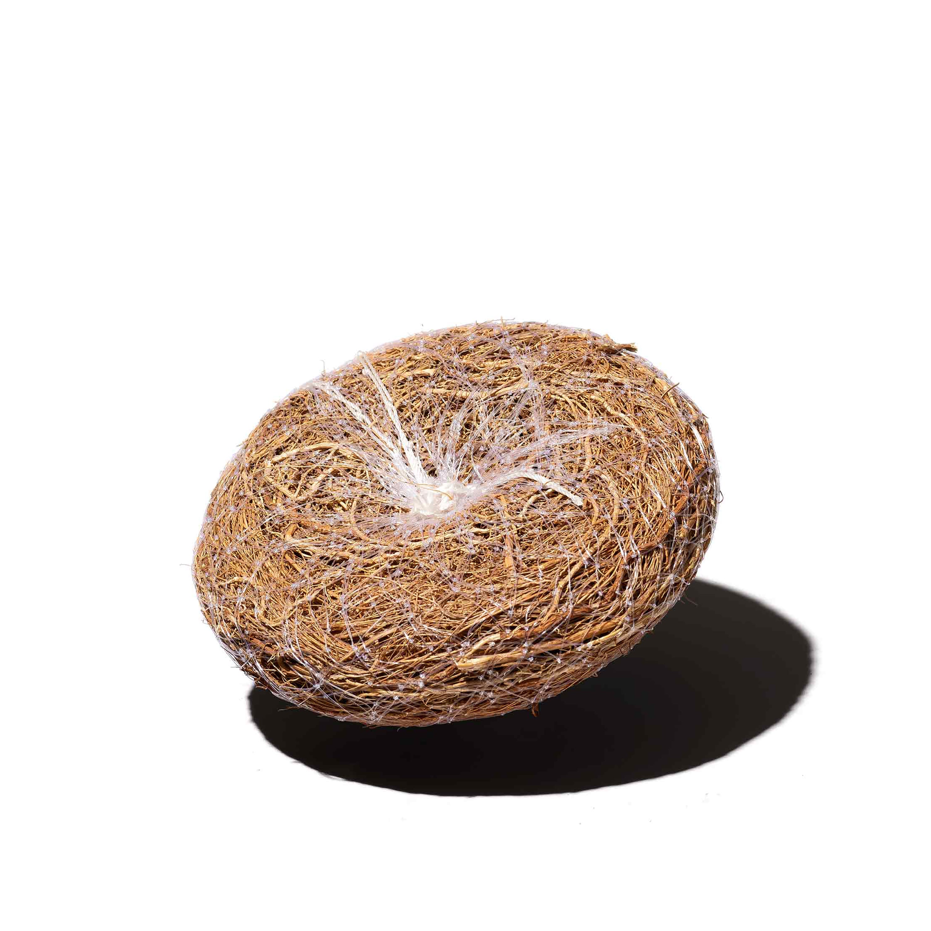 ベチバールートブラシ