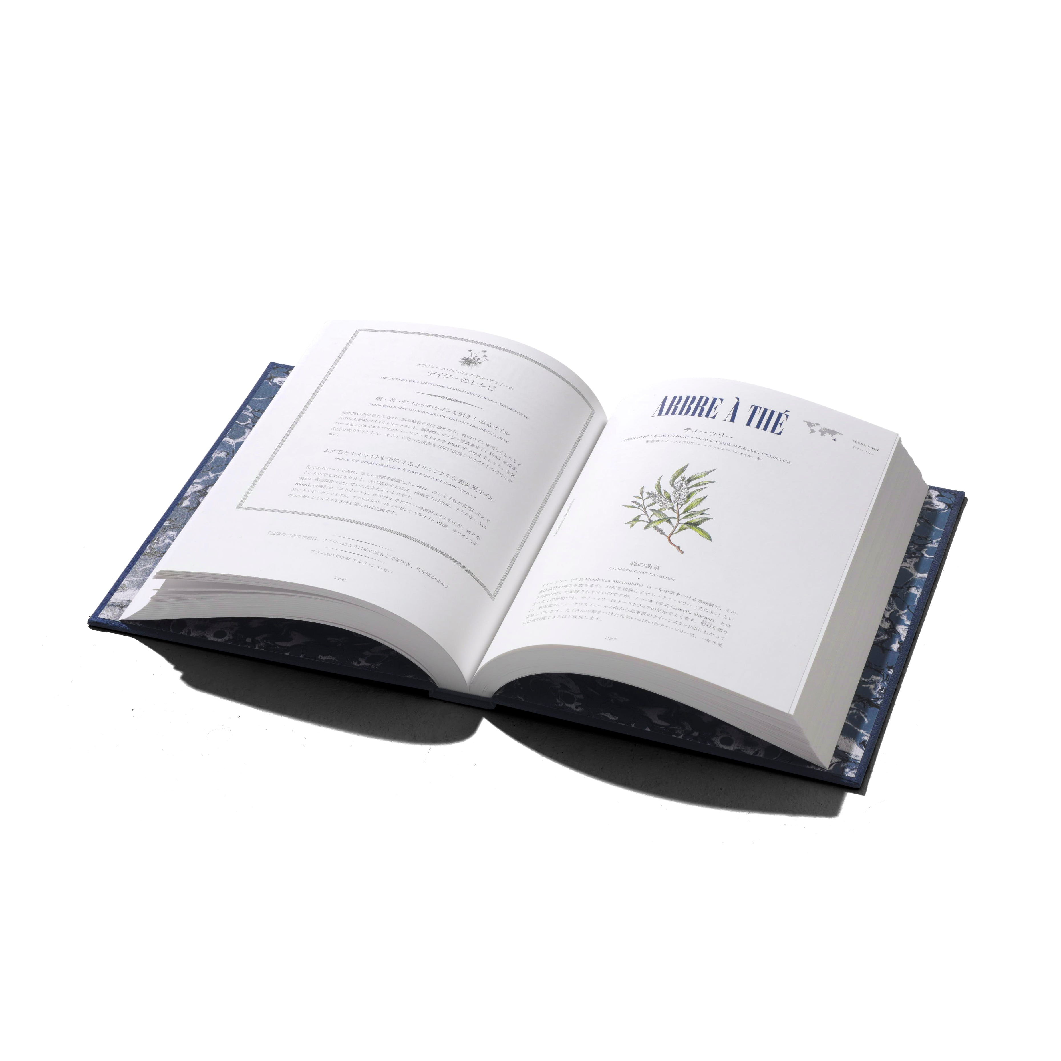 自然派美容の教科書 アトラス オブ ナチュラル ビューティー