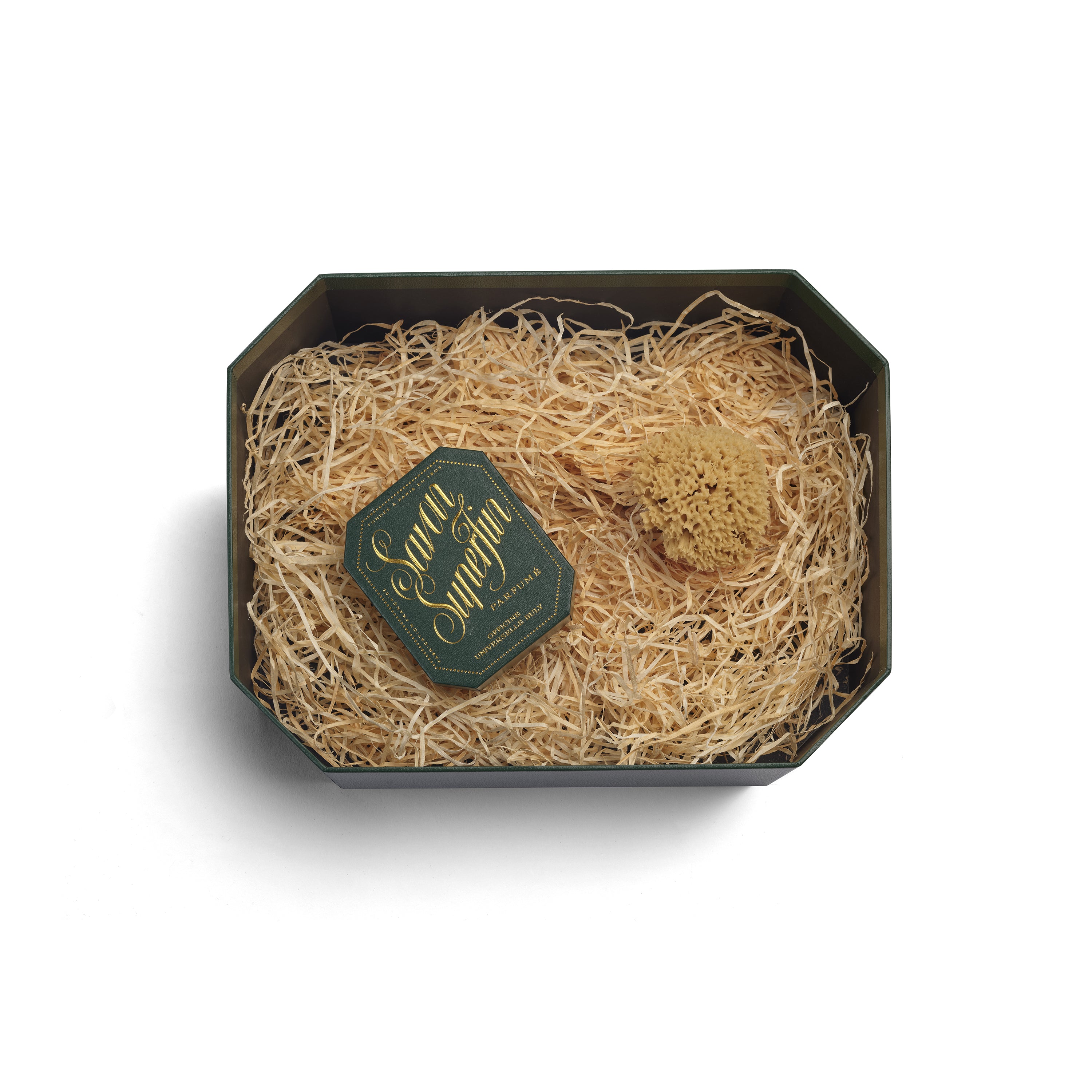 猫のようにしなかやに