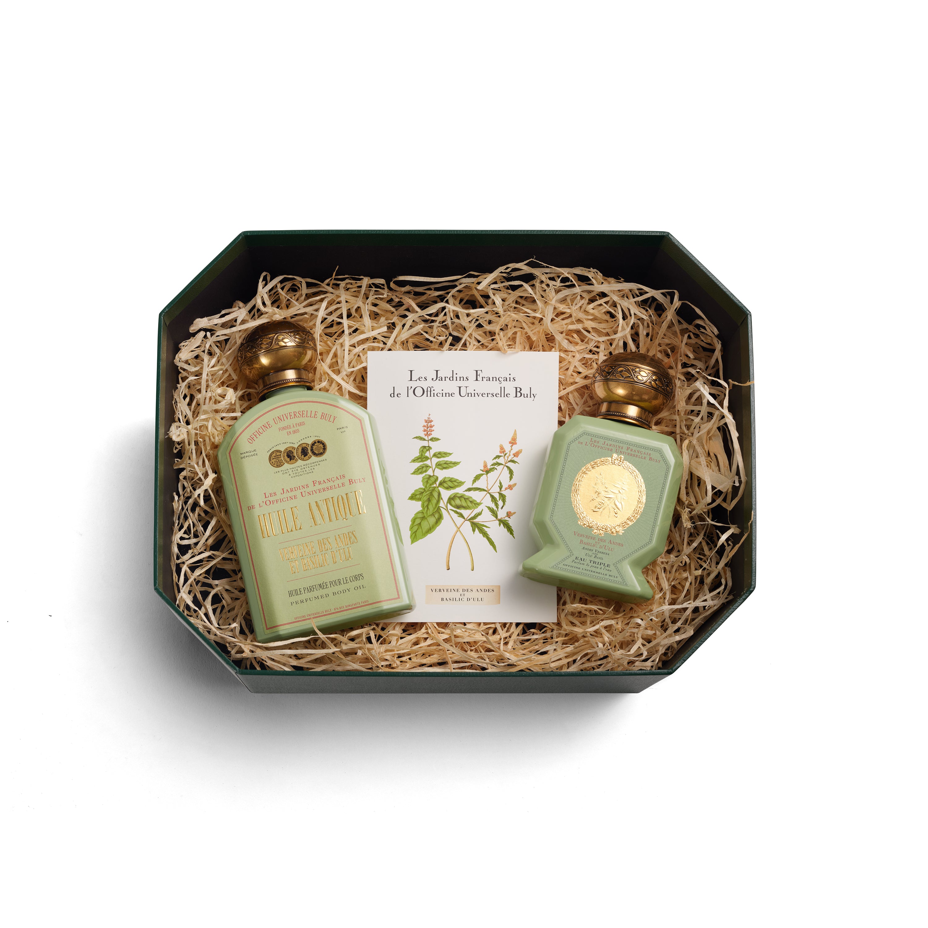 バーベナ奥様とバジル男爵