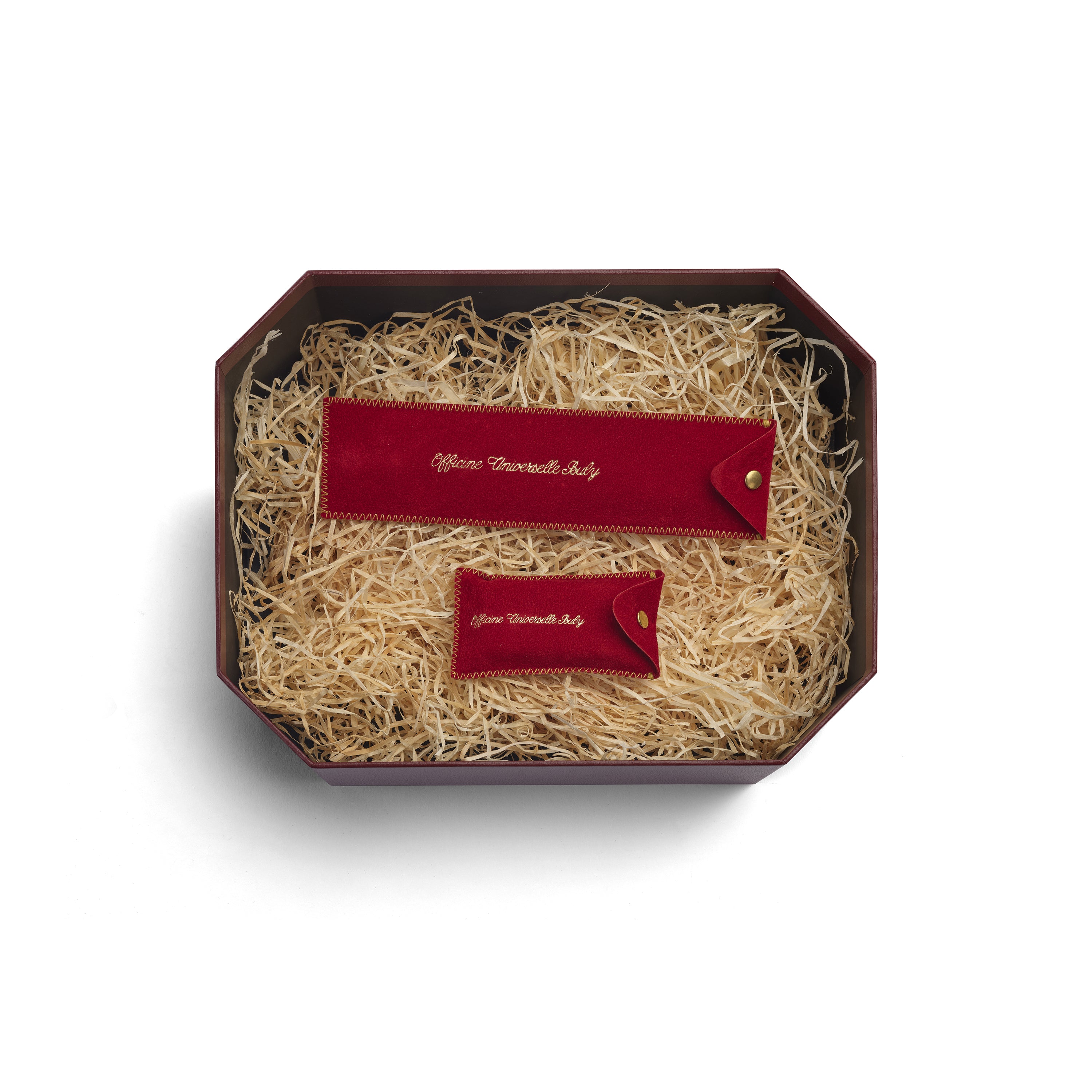 可愛らしいミューズたちへ