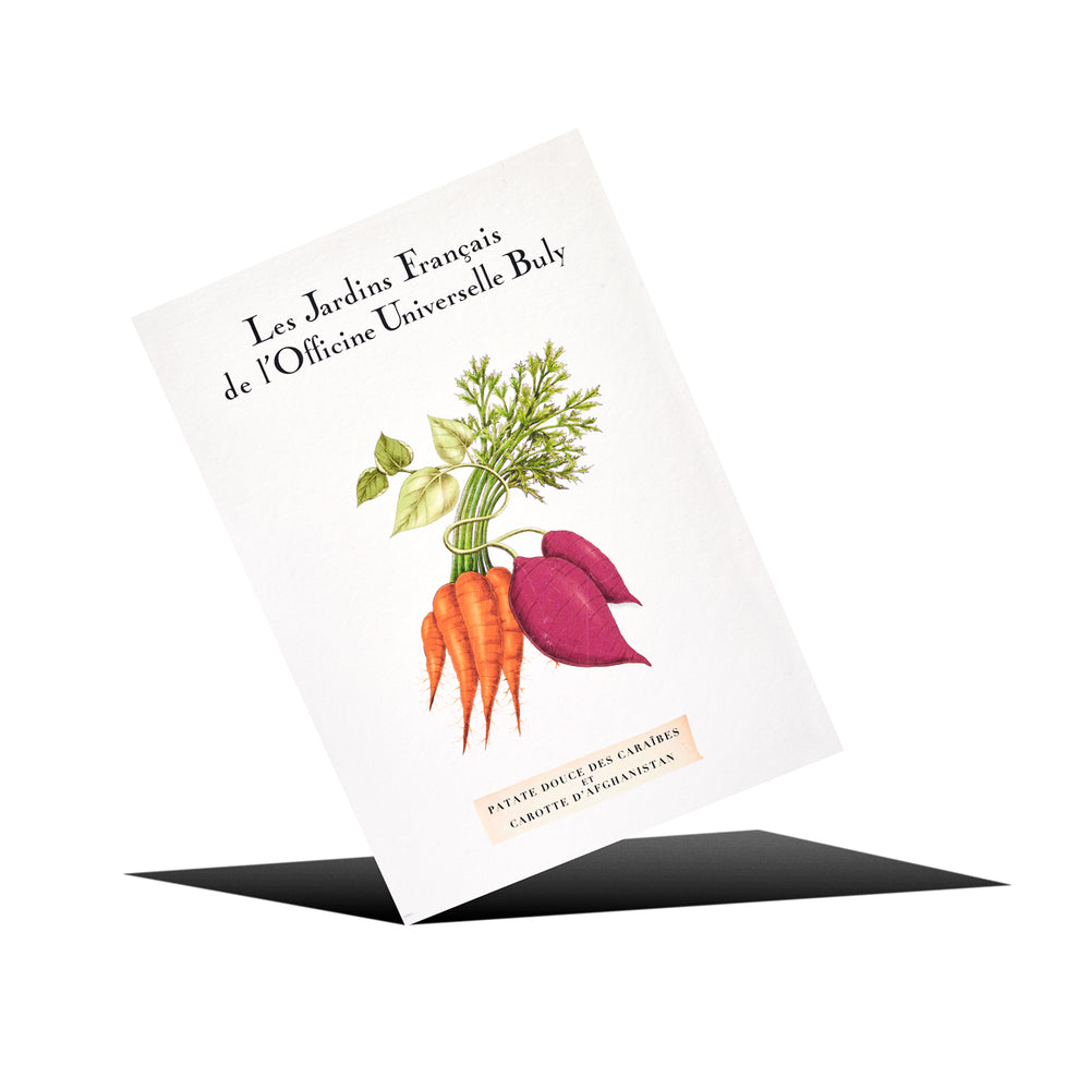 カルト・ポスタル・パルフュメ　パタットドゥース・デ・カライブ・エ・キャロット・ダフガニスタンの香り