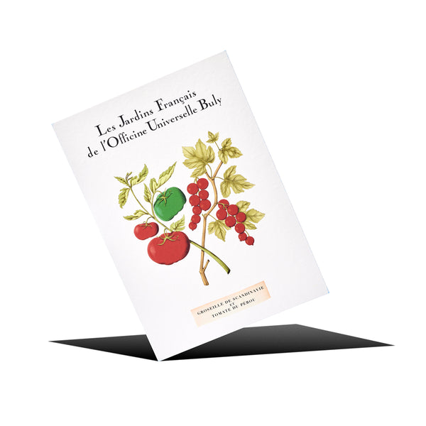 カルト・ポスタル・パルフュメ グロゼイユ・ドゥ・スカンジナーヴ・エ